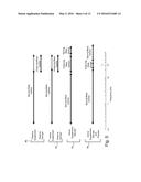 Anti-causal vehicle suspension diagram and image