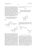 METHODS FOR THE PREPARATION OF RIBOSIDES diagram and image