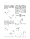 METHODS FOR THE PREPARATION OF RIBOSIDES diagram and image