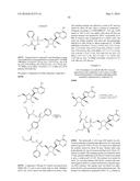 METHODS FOR TREATING FILOVIRIDAE VIRUS INFECTIONS diagram and image