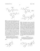 METHODS FOR TREATING FILOVIRIDAE VIRUS INFECTIONS diagram and image