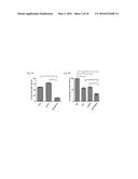 Galectin-3 Inhibitor (Gal-3M) is Associated with Additive Anti-Myeloma and     Anti-Solid Tumor Effects, Decreased Osteoclastogenesis and Organ     Protection when Used in Combination with Proteasome Inhibitors diagram and image