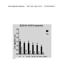 Galectin-3 Inhibitor (Gal-3M) is Associated with Additive Anti-Myeloma and     Anti-Solid Tumor Effects, Decreased Osteoclastogenesis and Organ     Protection when Used in Combination with Proteasome Inhibitors diagram and image