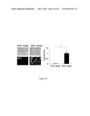 Engineered Intein for Improved Production of Protein-Intein Fusions diagram and image