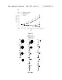 ANTI-HER2 SINGLE DOMAIN ANTIBODIES, POLYPEPTIDES COMPRISING THEREOF AND     THEIR USE FOR TREATING CANCER diagram and image
