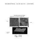 GENERATION OF AMPHIPHILIC NETWORK WITH AN ABILITY TO DISTINGUISH THE     TRANSPORT OF IGG AND INSULIN diagram and image