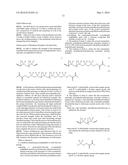 GENERATION OF AMPHIPHILIC NETWORK WITH AN ABILITY TO DISTINGUISH THE     TRANSPORT OF IGG AND INSULIN diagram and image