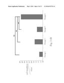 METHOD AND PHARMACEUTICAL COMPOSITION FOR CONTINUOUSLY MAINTAINING GROWTH     OF A MOTOR NEURON PROGENITOR CELL diagram and image