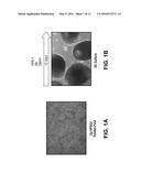 CHEMICAL DIFFERENTIATION OF PLURIPOTENTSTEM CELLS INTO RETINAL EPITHELIAL     CELLS diagram and image