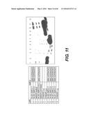 GENETICALLY-MODIFIED MICRO-ORGAN SECRETING A THERAPEUTIC PEPTIDE AND     METHODS OF USE THEREOF diagram and image