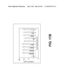 GENETICALLY-MODIFIED MICRO-ORGAN SECRETING A THERAPEUTIC PEPTIDE AND     METHODS OF USE THEREOF diagram and image