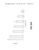 GENETICALLY-MODIFIED MICRO-ORGAN SECRETING A THERAPEUTIC PEPTIDE AND     METHODS OF USE THEREOF diagram and image