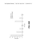 GENETICALLY-MODIFIED MICRO-ORGAN SECRETING A THERAPEUTIC PEPTIDE AND     METHODS OF USE THEREOF diagram and image