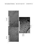 GENERATION OF CYTOTOXIC TUMOR SPECIFIC CELL LINES AND USES THEREOF diagram and image