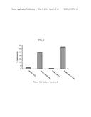 GENERATION OF CYTOTOXIC TUMOR SPECIFIC CELL LINES AND USES THEREOF diagram and image