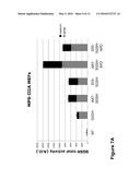 THERAPEUTIC STRATEGIES TO TREAT CNS PATHOLOGY IN MUCOPOLYSACCHARIDOSES diagram and image