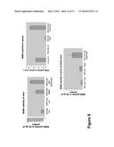 THERAPEUTIC STRATEGIES TO TREAT CNS PATHOLOGY IN MUCOPOLYSACCHARIDOSES diagram and image