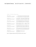 NOVEL METALLOPROTEASES diagram and image