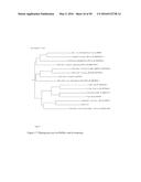 NOVEL METALLOPROTEASES diagram and image