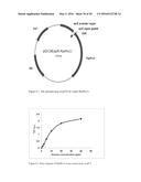 NOVEL METALLOPROTEASES diagram and image