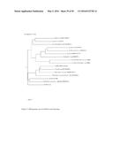 NOVEL METALLOPROTEASES diagram and image