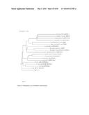 NOVEL METALLOPROTEASES diagram and image