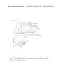 NOVEL METALLOPROTEASES diagram and image