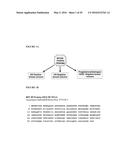 REPLICATION FACTOR C-40 (RFC40/RFC2) AS A PROGNOSTIC MARKER AND TARGET IN     ESTROGEN POSITIVE AND NEGATIVE AND TRIPLE NEGATIVE BREAST CANCER diagram and image