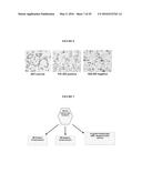 REPLICATION FACTOR C-40 (RFC40/RFC2) AS A PROGNOSTIC MARKER AND TARGET IN     ESTROGEN POSITIVE AND NEGATIVE AND TRIPLE NEGATIVE BREAST CANCER diagram and image