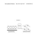 REPLICATION FACTOR C-40 (RFC40/RFC2) AS A PROGNOSTIC MARKER AND TARGET IN     ESTROGEN POSITIVE AND NEGATIVE AND TRIPLE NEGATIVE BREAST CANCER diagram and image