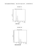 REPLICATION FACTOR C-40 (RFC40/RFC2) AS A PROGNOSTIC MARKER AND TARGET IN     ESTROGEN POSITIVE AND NEGATIVE AND TRIPLE NEGATIVE BREAST CANCER diagram and image