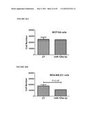 REPLICATION FACTOR C-40 (RFC40/RFC2) AS A PROGNOSTIC MARKER AND TARGET IN     ESTROGEN POSITIVE AND NEGATIVE AND TRIPLE NEGATIVE BREAST CANCER diagram and image