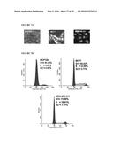 REPLICATION FACTOR C-40 (RFC40/RFC2) AS A PROGNOSTIC MARKER AND TARGET IN     ESTROGEN POSITIVE AND NEGATIVE AND TRIPLE NEGATIVE BREAST CANCER diagram and image