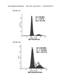 REPLICATION FACTOR C-40 (RFC40/RFC2) AS A PROGNOSTIC MARKER AND TARGET IN     ESTROGEN POSITIVE AND NEGATIVE AND TRIPLE NEGATIVE BREAST CANCER diagram and image