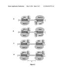 A METHOD FOR PRODUCING PRECISE DNA CLEAVAGE USING CAS9 NICKASE ACTIVITY diagram and image