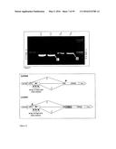 GENE EXPRESSION SYSTEM USING ALTERNATIVE SPLICING IN INSECTS diagram and image