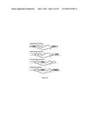 GENE EXPRESSION SYSTEM USING ALTERNATIVE SPLICING IN INSECTS diagram and image