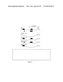 GENE EXPRESSION SYSTEM USING ALTERNATIVE SPLICING IN INSECTS diagram and image