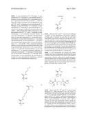 NOVEL POLYMERS AND DNA COPOLYMER COATINGS diagram and image