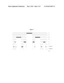 METHOD FOR QUANTIFYING THE LEVEL OF MINIMAL RESIDUAL DISEASE IN A SUBJECT diagram and image