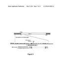 USE OF ID4 FOR DIAGNOSIS AND TREATMENT OF CANCER diagram and image