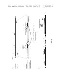 REAL-TIME PCR POINT MUTATION ASSAYS FOR DETECTING HIV-1 RESISTANCE TO     ANTIVIRAL DRUGS diagram and image