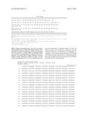 REAL-TIME PCR POINT MUTATION ASSAYS FOR DETECTING HIV-1 RESISTANCE TO     ANTIVIRAL DRUGS diagram and image