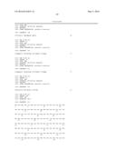 REAL-TIME PCR POINT MUTATION ASSAYS FOR DETECTING HIV-1 RESISTANCE TO     ANTIVIRAL DRUGS diagram and image