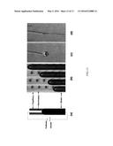 METHODS, SYSTEMS, AND COMPUTER READABLE MEDIA FOR VOLTAGE CONTROLLED     RECONFIGURATION OF LIQUID METAL STRUCTURES diagram and image