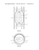 SEALING A BORE OR OPEN ANNULUS diagram and image