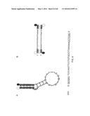 METHODS AND MATERIALS USING SIGNALING PROBES diagram and image