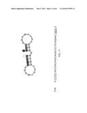 METHODS AND MATERIALS USING SIGNALING PROBES diagram and image