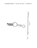 METHODS AND MATERIALS USING SIGNALING PROBES diagram and image