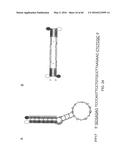 METHODS AND MATERIALS USING SIGNALING PROBES diagram and image